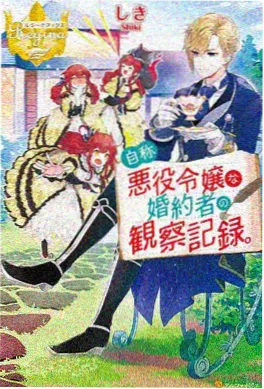 龙猫