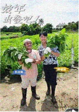 妻子的浪漫旅行